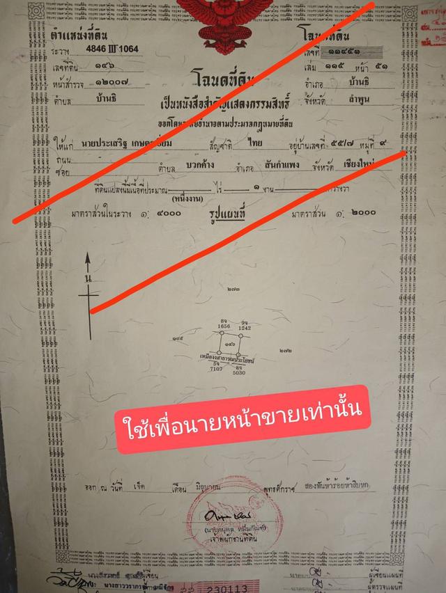 ขายที่ดิน 100 ตรว. เชียงใหม่ 6