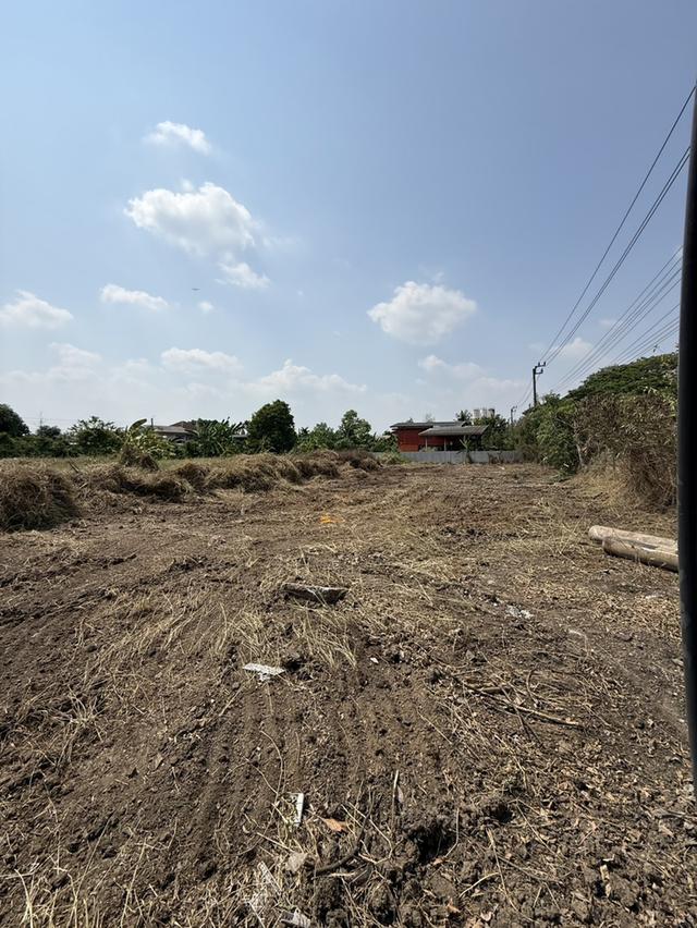 ให้เช่า ที่ดินเปล่า ถมแล้ว 1-1-84 ไร่ ราษฎร์อุทิศ 70 มีนบุรี 3