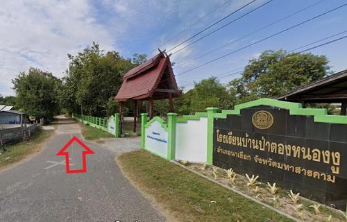 ที่ดินพร้อมสวนป่ายูคาลิปตัส 20-0-18 ไร่ สันป่าตอง นาเชือก มหาสารคาม 13