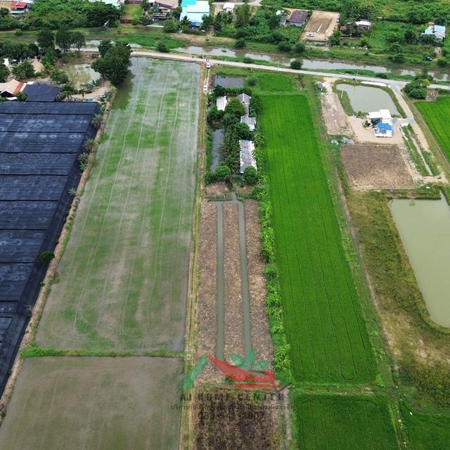 ขายที่ดิน6-0-45ไร่ ต.รางพิกุล อ.กำแพงแสน จ.นครปฐม ราคาพร้อมคุย