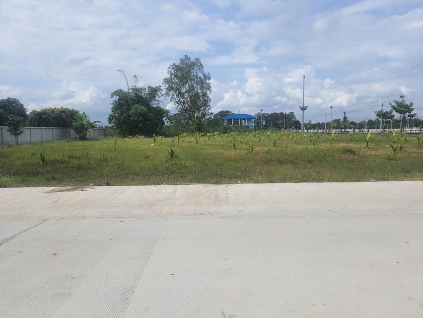 ขายที่ดินตาขันถมแล้ว 2 ไร่ ติดถนนคอนกรีต ซ.สวนสุขภาพหนองอ้อใกล้แยกบ้านแลงถนนเส้น36-3.7กม. อ.บ้านค่าย ระยอง 4