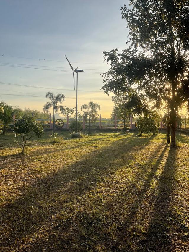 ขายที่ดินพร้อมสิ่งปลูกสร้าง เนื้อที่ 3 ไร่ 1 งาน 94 ตารางวา ตำบลพุแค จังหวัดสระบุรี 4