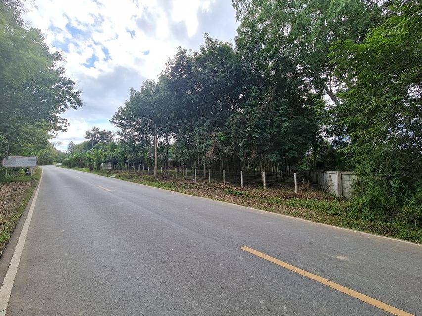 ขายที่ดินสวนยาง 2.40 ไร่ พร้อมโฉนด เหมาะแก่การลงทุน หลังวิทยาลัยการอาชีพปัว ต.ปัว จ.น่าน  3