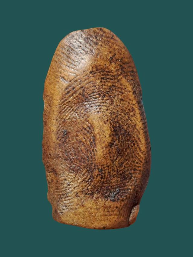 เปิดจ้า💞สนใจทักแชทได้เลยนะคะ 💚ส่งฟรีค่ะ 🥰 รูปที่ 2