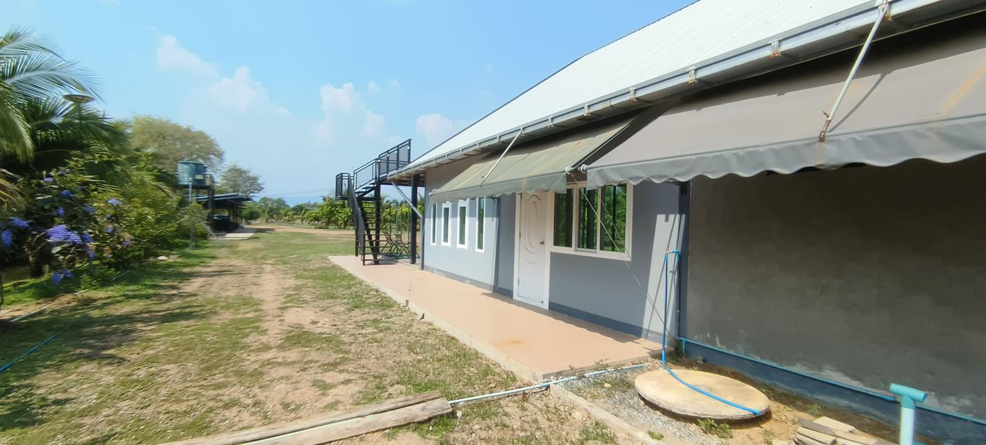 บ้านสวนพร้อมที่ดินสวย 13