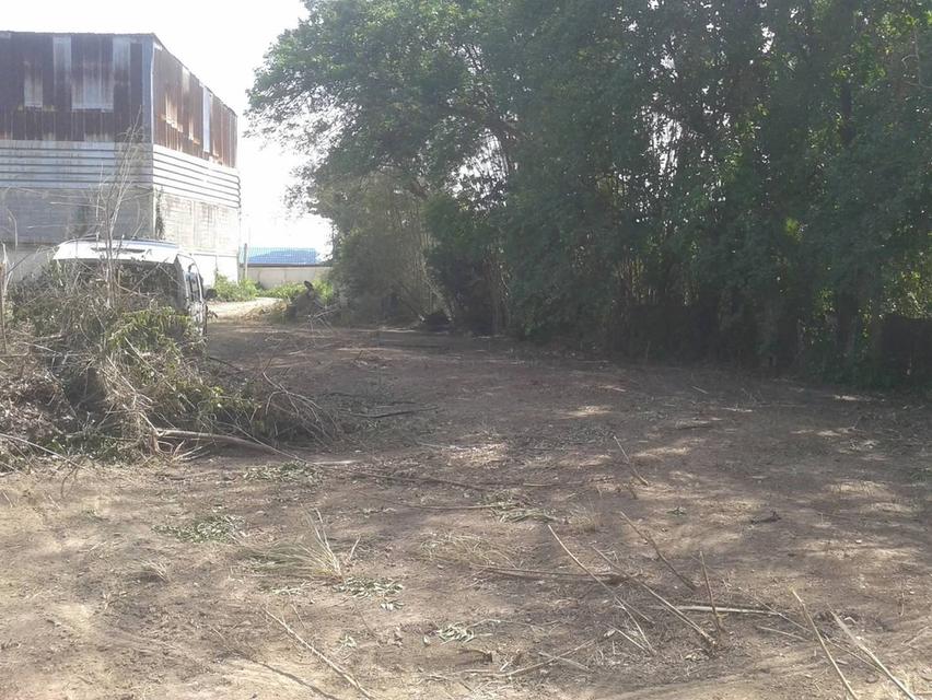 ที่ดินริมแม่น้ำป่าสัก จังหวัดสระบุรี 10