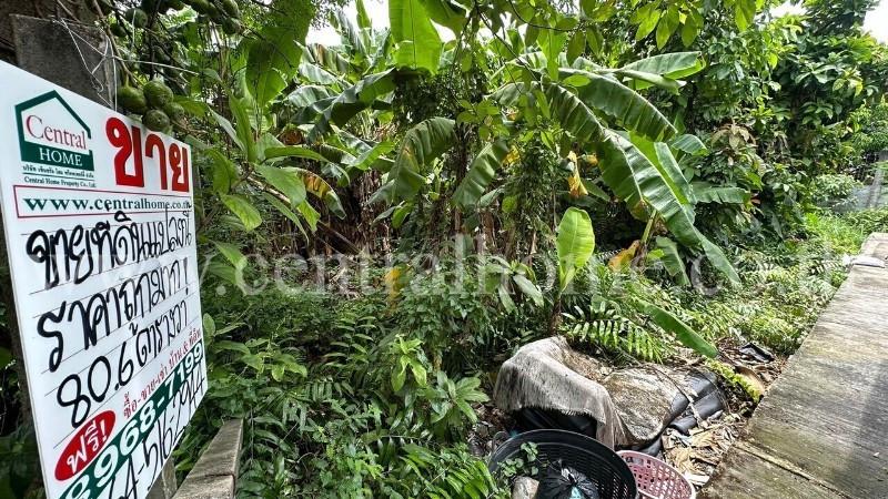 ที่ดินเปล่า พร้อมสิ่งปลูกสร้าง 1 ไร่ ถนนเลียบคลองประปา ฝั่งแจ้งวัฒนะ ทำเลดี 7