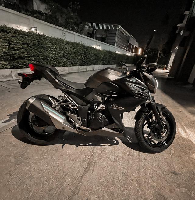 Kawasaki Z250 ABS 2015 Gray Metallic   6