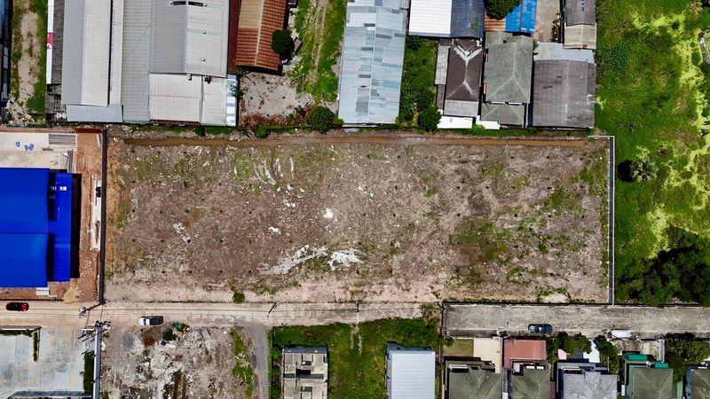 ขายที่ดินติดถนน ทำเลดี เพิ่มสิน 66 ซอยออเงิน จังหวัดกรุงเทพมหานคร #ราคาดีทำเลดีติดต่อผึ้งรติ 061-941-9639 10