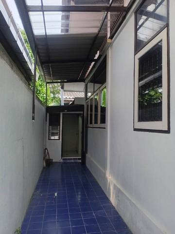 ให้เช่า บ้านเดี่ยว ชั้นเดียว โครงการ ทิวสน ลาดพร้าว 87 แยก 18 เลียบด่วน ใกล้ CDC ไม่รับสัตว์เลี้ยง 9