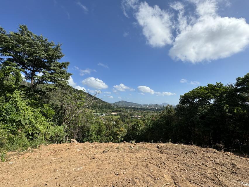 ขายที่ดินเปล่า1ไร่ ซีวิว จ.ภูเก็ต 3