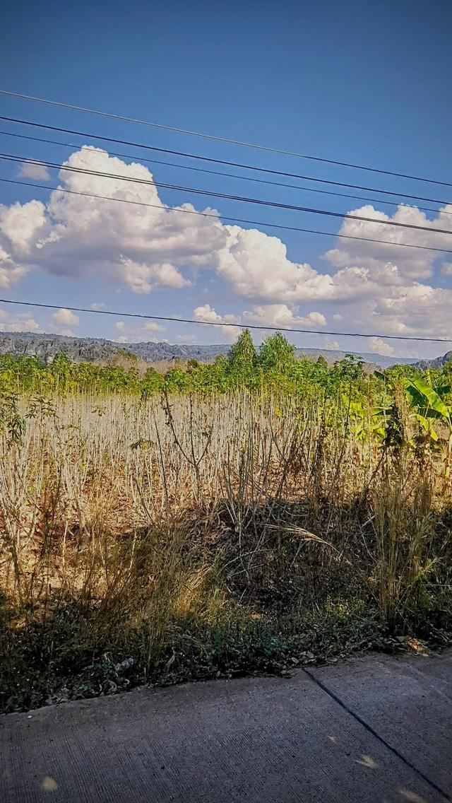 ⛰️ ให้ขุนเขาโอบกอดคุณ... บนที่ดินผืนสุดท้ายที่ "เนินมะปราง" โอกาสเป็นเจ้าของ "The Hidden Gem" วิวภูเขาหินปูนแบบพาโนรามา (Unseen Phitsanulok) 4