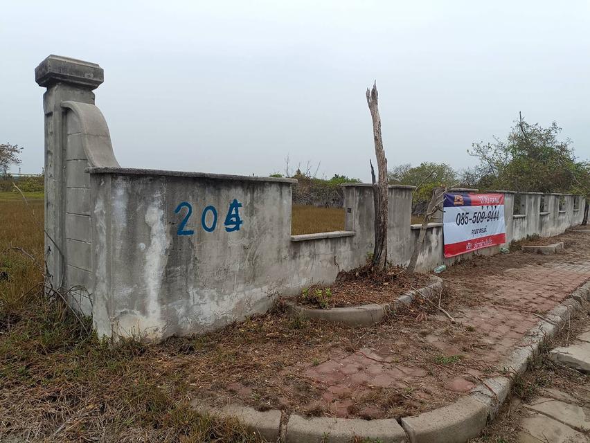 ขายที่ดินพร้อมสิ่งปลูกสร้าง (ติดแม่น้ำบางปะกง ) ในโครงการรอยัล เลคไซด์ กอล์ฟคลับ อำเภอบางปะกง จังหวัดฉะเชิงเทรา 4