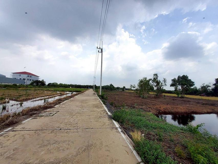 ขายด่วนที่ดิน 6 ไร่ ติดถนนคอนกรีต แบ่งได้ ซ.คลองสาม14/7 คลองหลวง ปทุมธานี 3