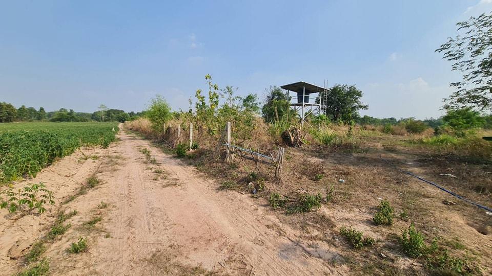 ขายที่ดินสะพานหิน 3 ไร่ ใกล้วิวเขา ใกล้ถนนสุวรรณศร33(เครือสหพัฒน์)-9กม. อ.นาดี ปราจีนบุรี