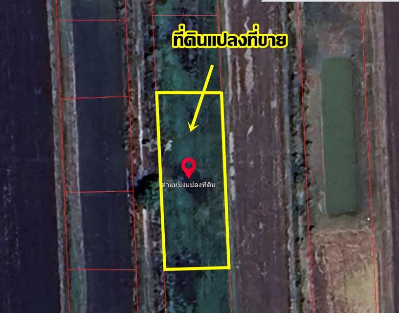 ขายที่ดินองครักษ์ นครนายก คลอง22 ใกล้วัดราษฎร์ศรัทธาราม 4