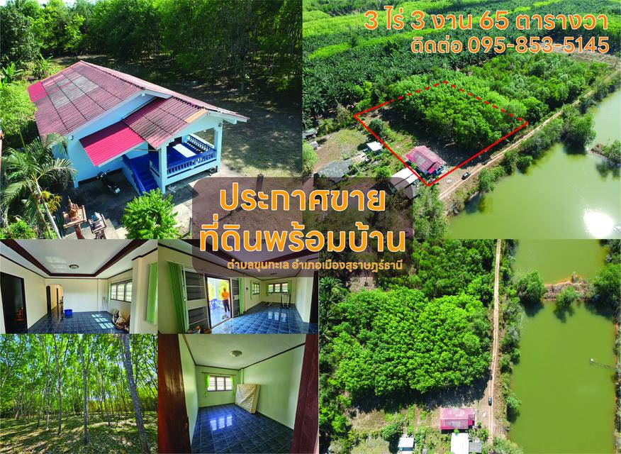 ขาย ที่ดินสวนยางพร้อมบ้าน ตำบลขุนทะเล สุราษฎร์ธานี 3 ไร่ 3งาน 65 ตารางวา 1