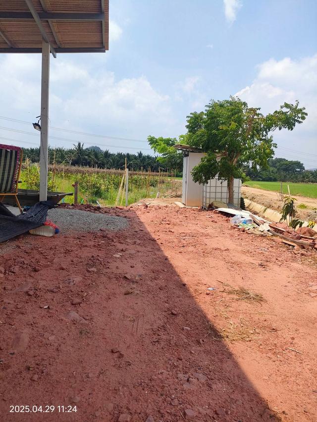 ที่ดินทำสวนฝรั่ง จ.ราชบุรี 12
