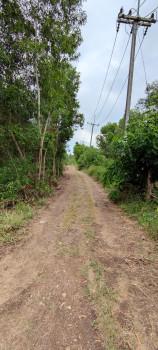 ขาย ที่ดิน 2 ไร่ คลอง 14 หนองเสือ ปทุมธานี ใกล้ถนนเลียบคลอง 14 เจ้าของขายเอง 5