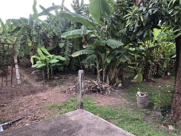 ขายที่ดิน 106 ตรว. ขาย 750,000บาท เขตเทศบาลหัวรอ อำเภอเมือง จังหวัดพิษณุโลก 4