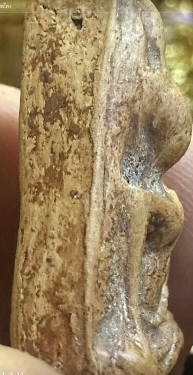 พระเครื่อง พระสมเด็จนางพญา 2