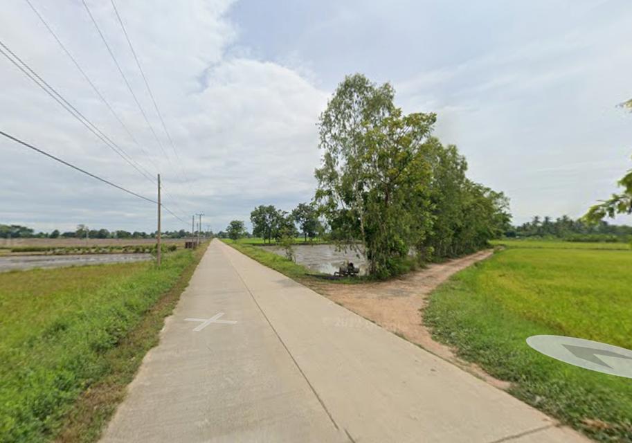 ที่ดินสวย 2 ไร่ 3 งาน สำหรับปลูกบ้านสวน มีไฟฟ้า ประปา ถนนคอนกรีต 7