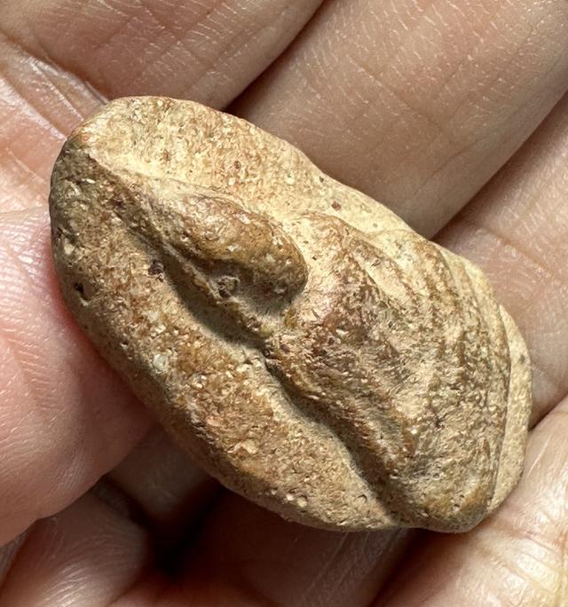 พระนางท่ามะปรางค์กรุวัดมหาธาตุ สุพรรณบุรี มีนวลดินเดิม