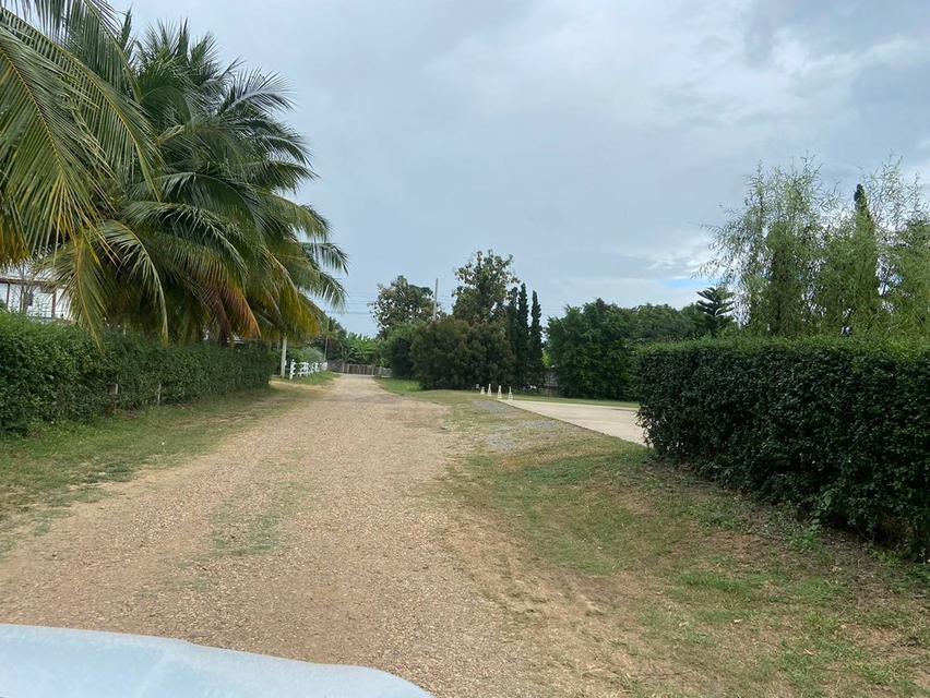 ขายที่ดิน 3 ไร่ ทำเลสวยมาก วิวเห็นเขารอบด้าน 360 องศา ใกล้พระธาตุช่อแฮ ใกล้สนามบินแพร่ 3