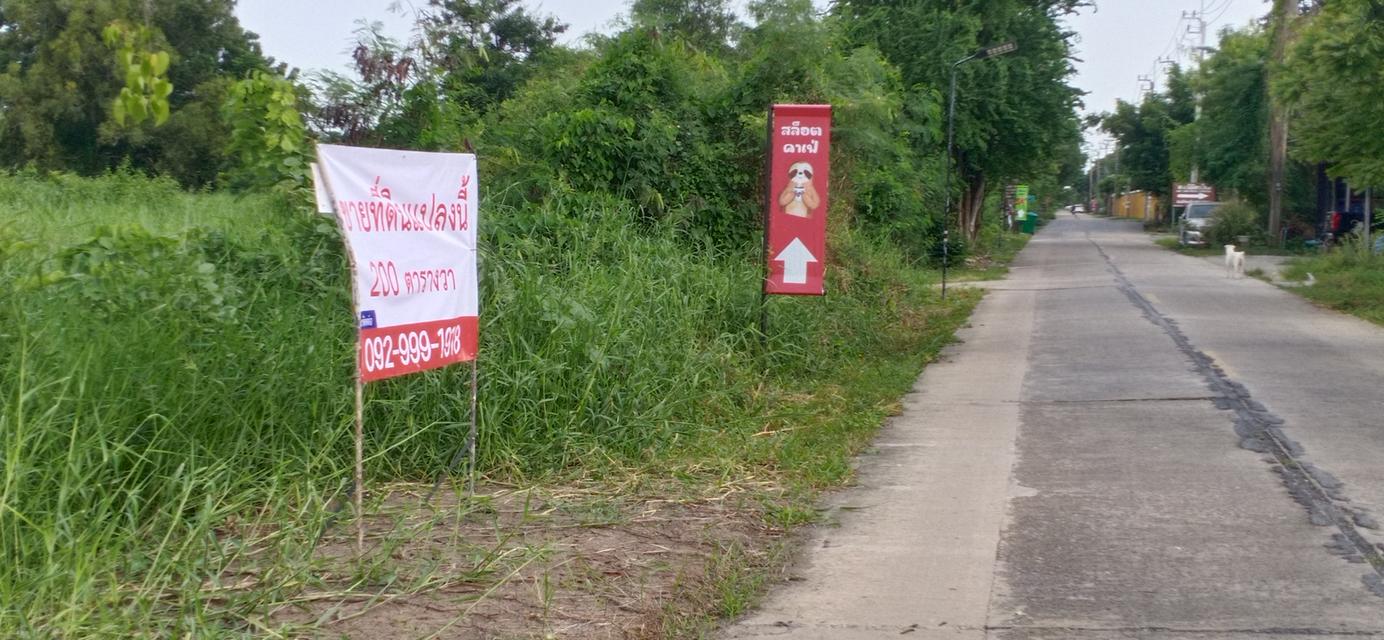 ที่ดินซอยไมตรีจิต2 1
