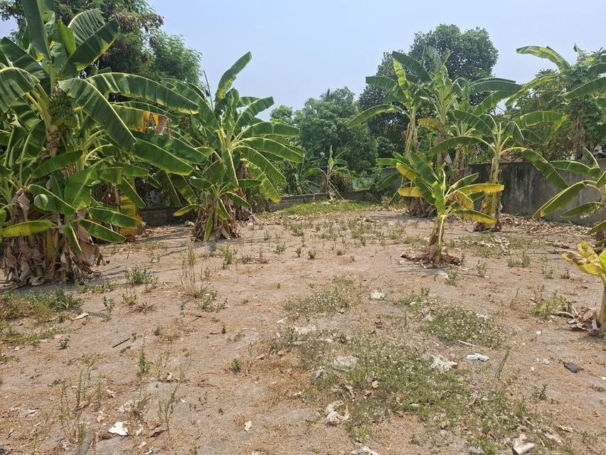 ที่ดินเปล่าทำเลดีมีน้ำไฟ 4