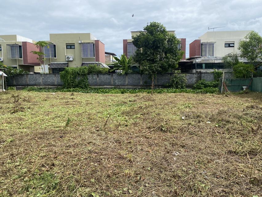 ขายที่ดิน เนื้อที่สวย ทำเลดี 142 ตารางวา 1