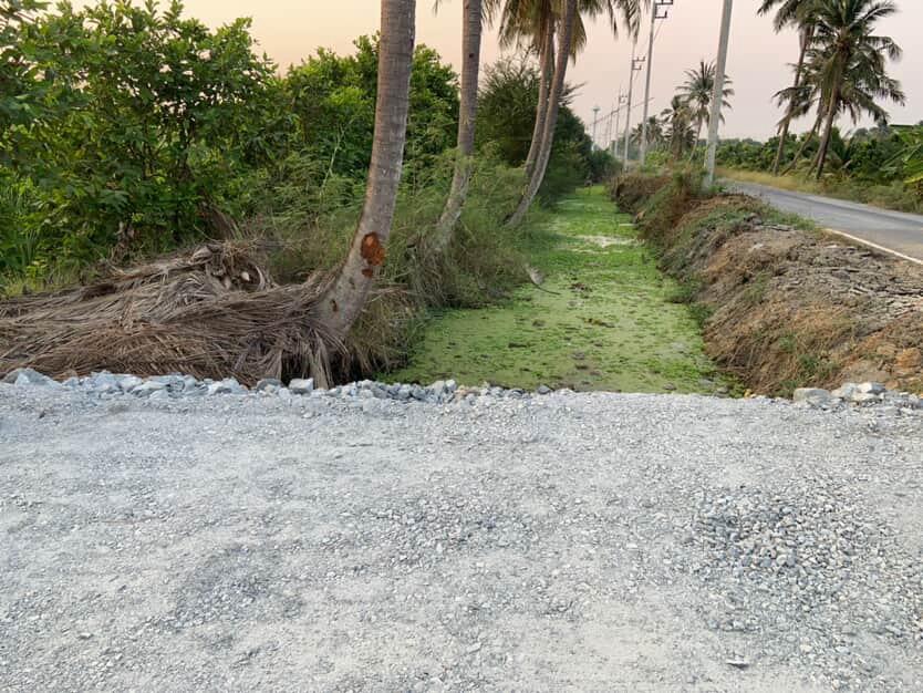 🌿 ขายที่ดินแปลงสวย ทำเลดี สามพราน นครปฐม 🌿 5