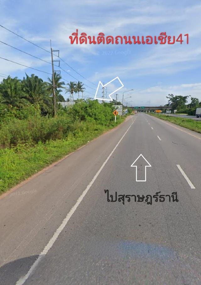 ขายที่ดินติดถนนเอเชีย41 ในสุราษฎร์ธานี 15