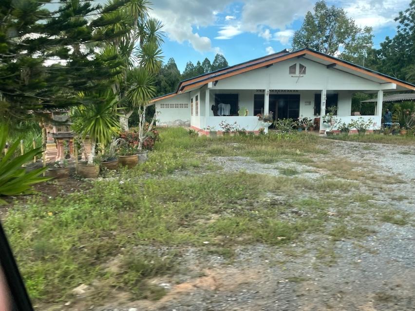 ขาย บ้านเดี่ยว เขาขาว ทุ่งสง 300 ตรม. 352.7 ตร.วา ติดถนนใหญ่ 2ด้าน ใกล้อบต.เขาขาว ทำการค้าได้ บรรยากาศดี