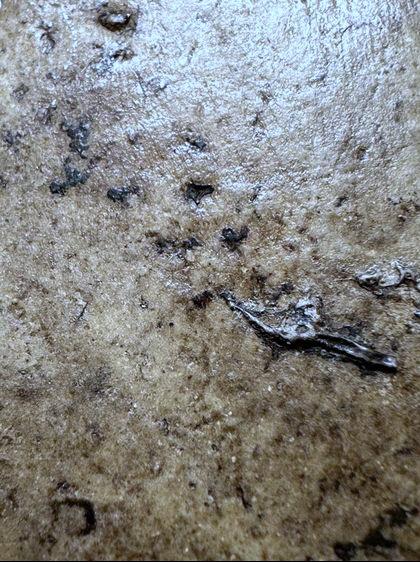 "สมเด็จวัดระฆัง พิมพ์อกครุฑเศียรบารตพิมพ์กลาง (พิมพ์ไกเซอร์)" รูปที่ 9