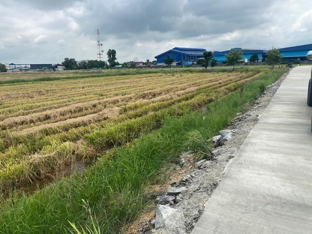ขายที่ดิน 40 ไร่ เขต EEC ถมที่ดินให้ฟรี เสมอถนนคลองอุดมชลจร เมืองฉะเชิงเทรา เหมาะสร้างโรงงานทุกประเภท 5
