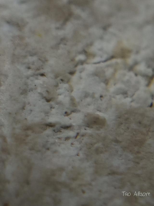 พระสมเด็จวัดระฆังโฆสิตาราม 11