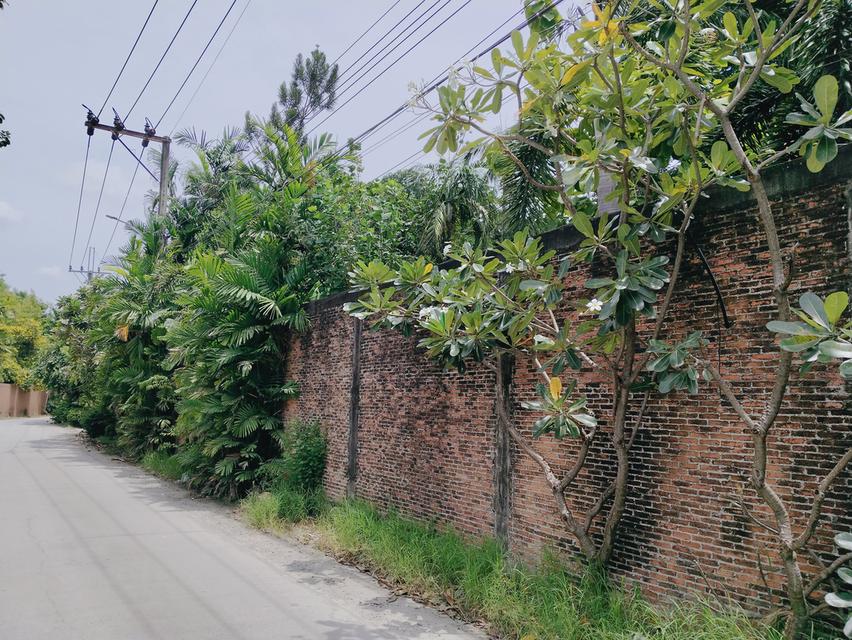 ที่ดิน กรุงเทพกรีฑาซอย 8 แยก 16 2