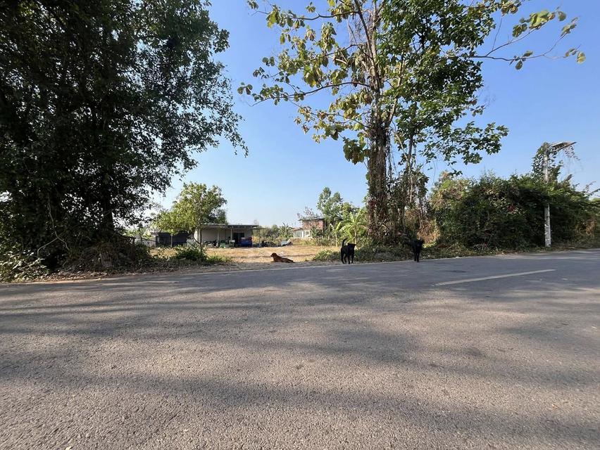 ขายที่ดินวังดาลพร้อมสิ่งปลูกสร้าง 3 ไร่ ติดถนนลาดยางใกล้ถนนเส้นสุวรรณศร33-5กม. อ.กบินทร์บุรี ปราจีนบุรี 5