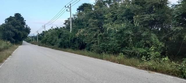 เล็งทรัพย์ดีเก็งเก็บอนาคต ขายที่สวยติดทางหลวง1107 บ้านตาก จ.ตาก คมนาคมสะดวก ไร่ละ 300000 ต.ตากตก อ.บ้านตาก จ.ตาก 0837124 8