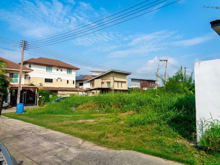 🚩ที่ดินจัดสรร แปลงสวยหัวมุม 60 ตาราวา หมู่บ้านเปรมปรีด์ ในซอย รังสิต-นครนายก 54 19