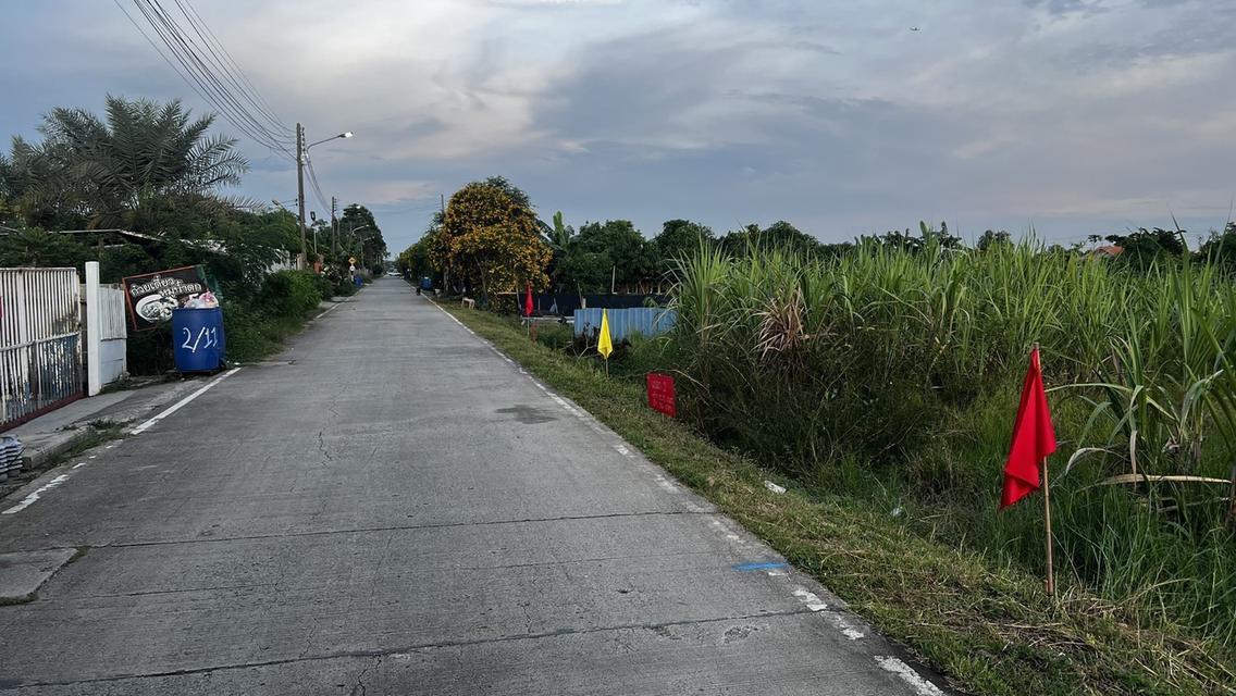 ขายที่ดินเปิดแปลงใหม่ คลองสาม  คลองหลวง ปทุมธานี 100 ตารางวาเพียง  8.5 แสนบาท 12