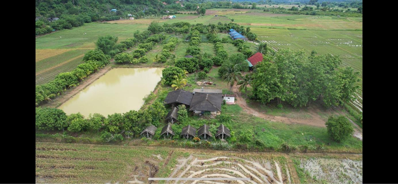 ที่ดินร้านอาหารปู๋หลงโต้ง เชียงดาว 5