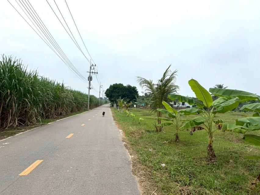 ขาย ที่ดิน พร้อมสวนทุเรียน มีสระน้ำ ระบบสปริงเกอร์ ME391 บ่อกวางทอง บ่อทอง ชลบุรี . 154 ตรม 7 ไร่ 3.7 ตรว ใกล้ถนน 3340 ท 2