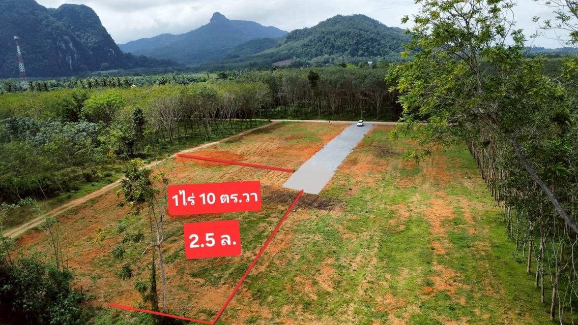 🏞️ ขายที่ดินแปลงสวย ราคาคุ้มค่า – เหลือเพียง 1 แปลงสุดท้าย!🥚ขนาด: 1 ไร่ 10 ตร.ว🏡ราคาเพียง 2,500,000 บาท 📍เอกสารสิทธิ์ โฉนดครุฑแดง 7