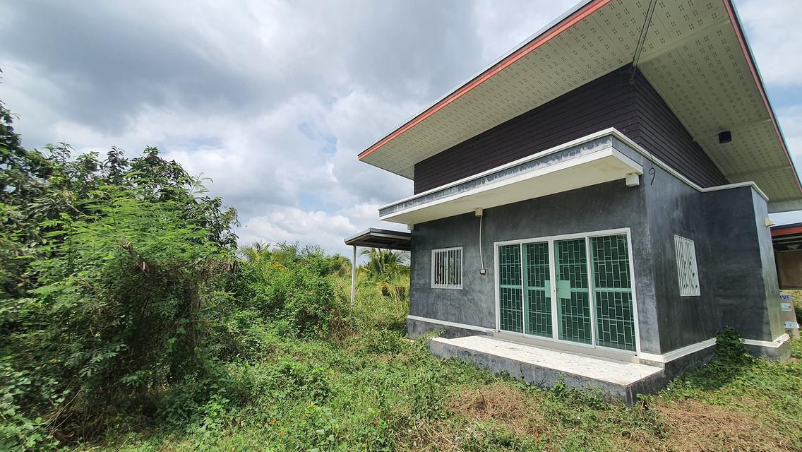 ที่ดินโซน สร้างโรงงานได้ ที่ดินพร้อมบ้านสวน 12.3 ไร่ โซนเจริญ ห้างสรรพสินค้า ทั้งโลตัสและบิ๊กซี 3
