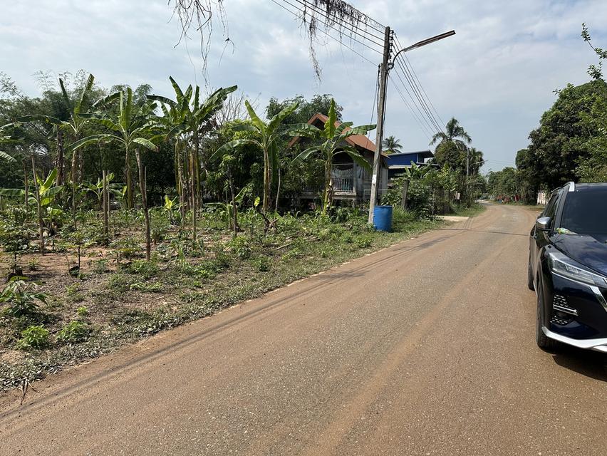 ที่ดินใกล้วัดงิ้วงาม 1 ไร่ 3 งาน อ.เมือง จ.อุตรดิตถ์ 5