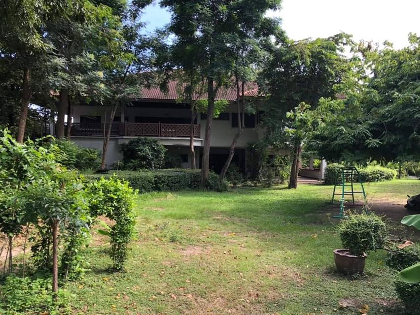 ขายบ้านเดี่ยววชิรธรรมสาธิต ปุณณวิถี สุขุมวิท101/1 ที่ดิน 1ไร่ 2งาน แปลงสวยมาก ใกล้ BTSปุณณวิถี อุดมสุข ใกล้ทางด่วนบางนา สุขุมวิท62 ออกศรีนครินทร์ 4
