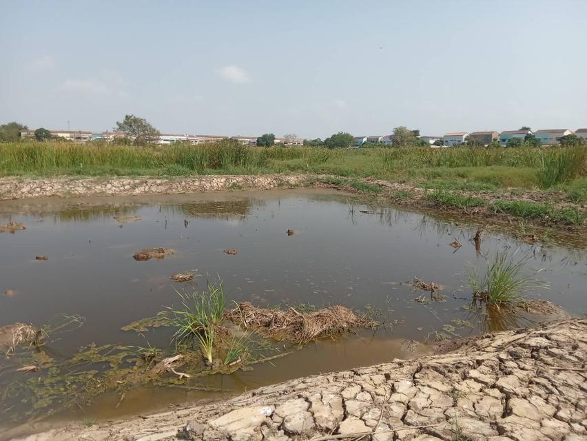 ขายที่ดินเปล่า 2 ไร่ ติดถนนคอนกรีต ซอยเทศบาลบางปู 83 13