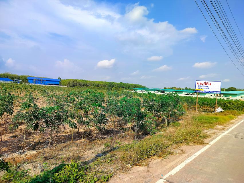 ที่ดินแปลงสวย ทำเลดี ใกล้ชุมชน แหล่งเศรษฐกิจและอุตสาหกรรม มาบตาพุด จ.ระยอง 4